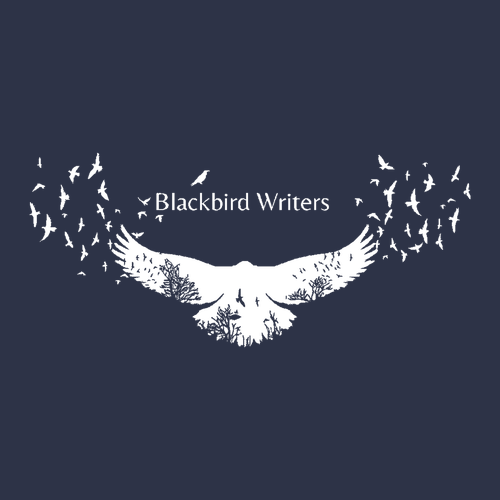 District Perfect Tri  French Terry Full-Zip Hoodie -- New Navy