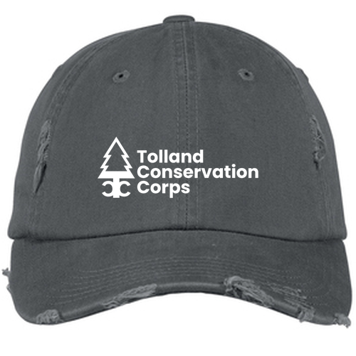 District Threads Distressed Hat -- Nickel