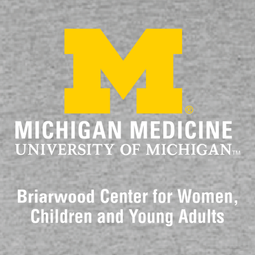Mens/Unisex Briarwood Center for Women Gildan Heavy Cotton Longsleeve Basic T-Shirt -- Sport Grey