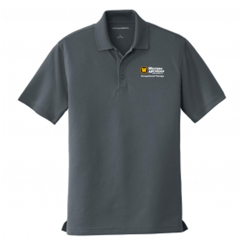 Port Authority Dry Zone UV Micro Mesh Polo -- Graphite