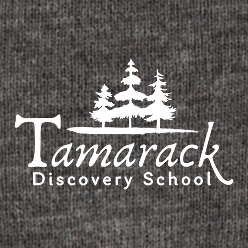 Carhartt Watch Hat 2.0 -- Coal Heather