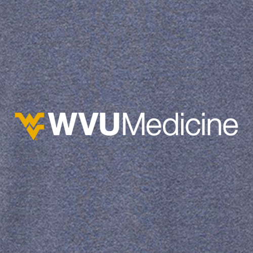 WVU Medicine Port and Company Quarter-Zip Pullover Sweatshirt -- Heather Navy