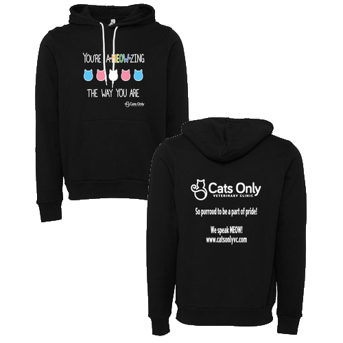 BELLA + CANVAS Sponge Fleece Hoodie -- Black
