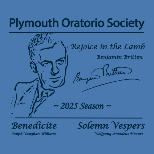 Jerzees 8 oz 50/50 Nublend Adult Hooded Sweatshirt -- Columbia Blue