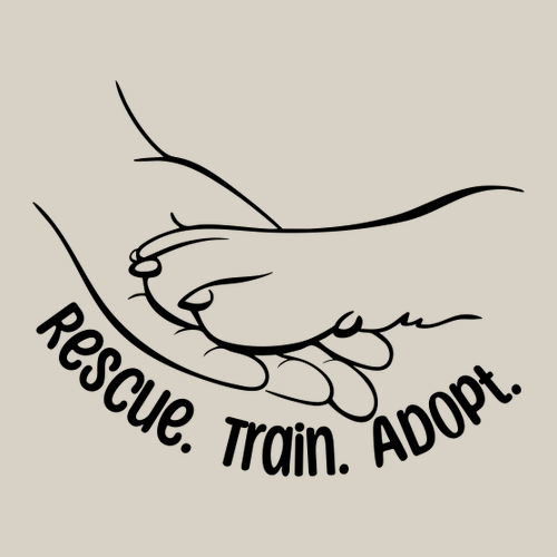 Hanes Perfect-T Ring Spun T-Shirt -- Parchment