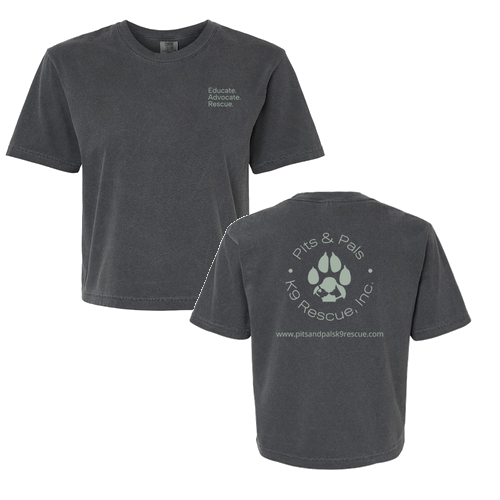 Comfort Color Lady's Heavyweight Boxy Tee -- Pepper