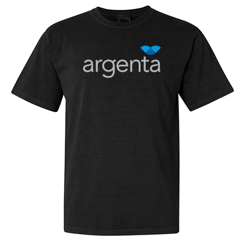 Comfort Colors Ringspun Garment Dyed T Shirt -- Black