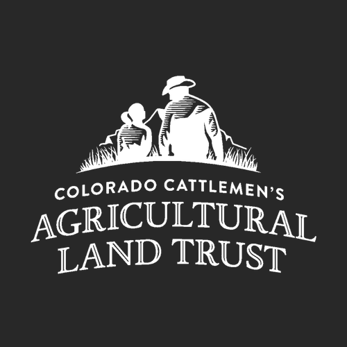 Forever Colorado 100% Cotton T-Shirt -- Black