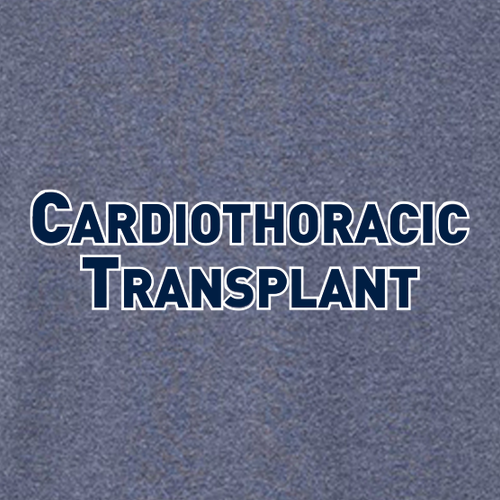 Women's Relaxed V-Neck Tee -- Heather Navy