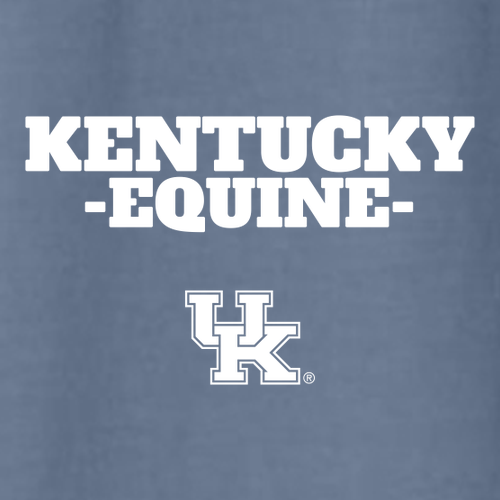 Comfort Colors Unisex Garment-Dyed Heavyweight T-Shirt -- (For Mom, Dad, & Alumni) -- Blue Jean