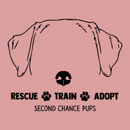 American Apparel CVC Unisex Raglan T-Shirt -- Heather Bone / Heather Army