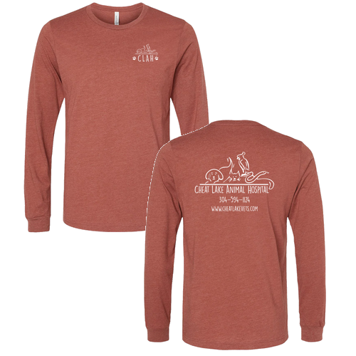 Bella+Canvas Unisex Heather Cvc Long Sleeve Tee- Heathers -- Heather Clay