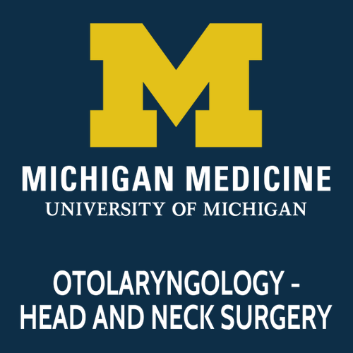 Ladies Port and Company  Core Cotton Tee -- Navy