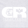 Carousel product image