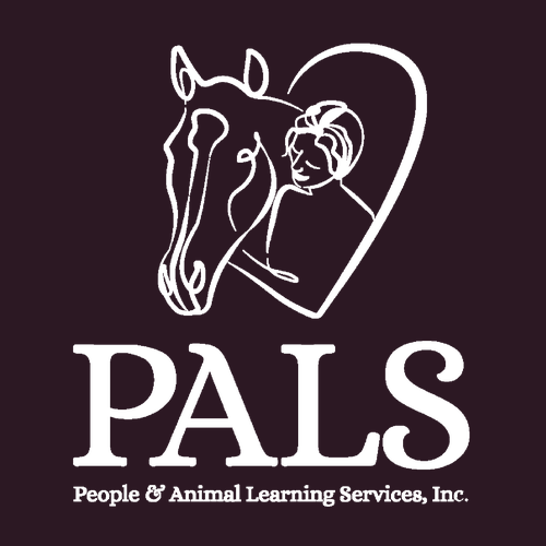 PALS Homecoming Shirts -- Oxblood Black