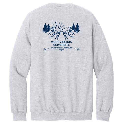 Gildan Adult Softstyle Fleece Crew Sweatshirt -- Ash Grey