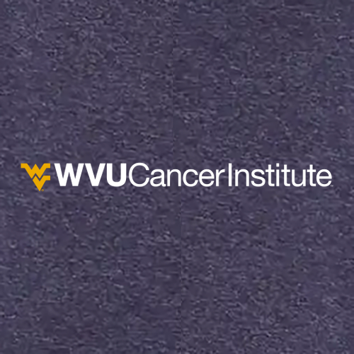 Gildan SoftStyle Fitted T-Shirt -- Heather Navy