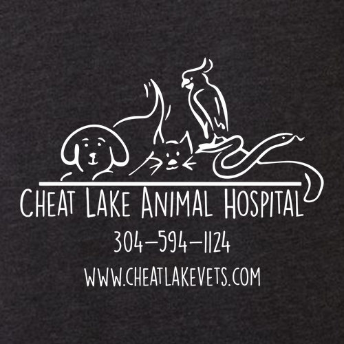 Bella+Canvas Unisex Heather Cvc Long Sleeve Tee- Heathers -- Dark Grey Heather