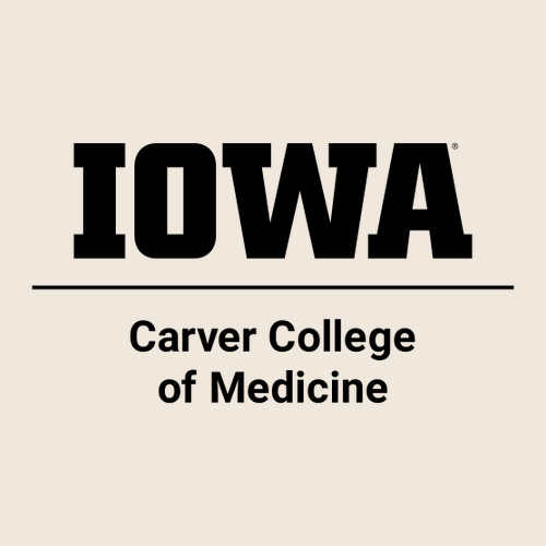 Independent Trading Co. Avenue Pullover Hooded Sweatshirt -- Ivory