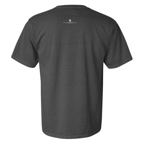 Comfort Colors Ringspun Garment Dyed T Shirt -- Pepper