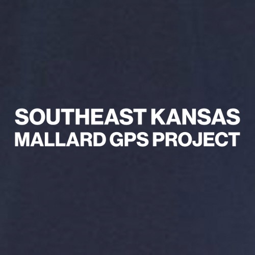 Dickies Traditional Heavyweight T-Shirt -- Dark Navy