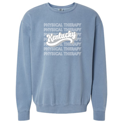 Comfort Colors Lightweight Adult Ringspun Crewneck Sweatshirt -- Blue Jean