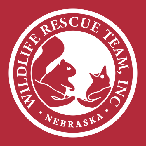 J America Unisex BTB Fleece Hooded Sweatshirt -- Red