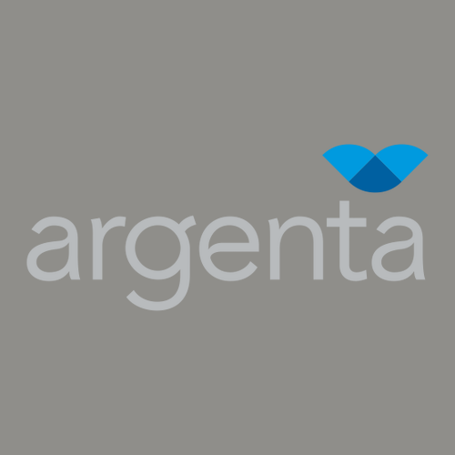 Comfort Colors Ringspun Long Sleeve Tee -- Grey