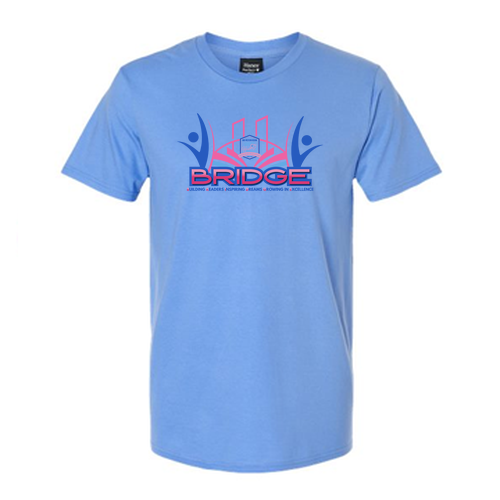 Hanes Perfect-T Ring Spun T-Shirt -- Carolina Blue