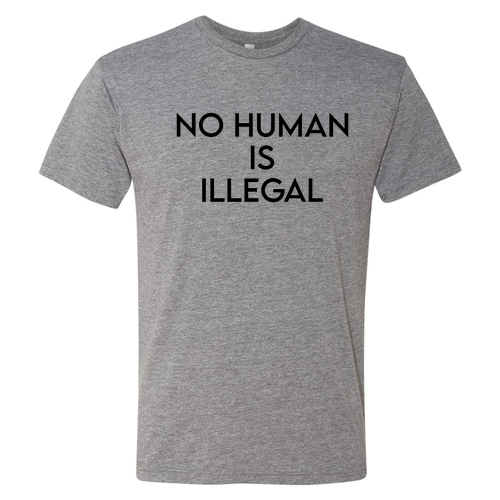 Mens/Unisex Next Level Soft Fitted Triblend Tee -- Premium Heather, No Human