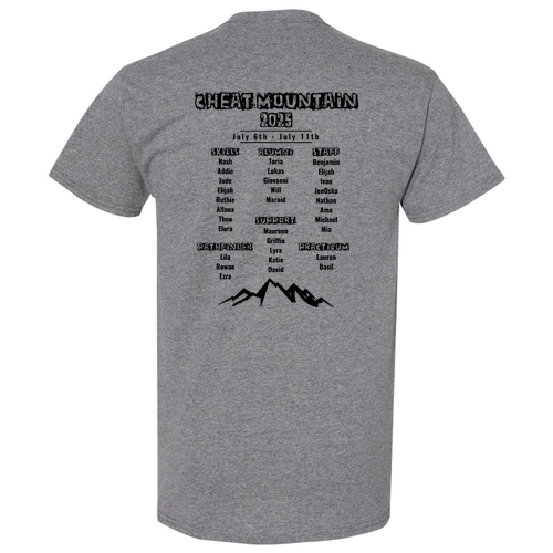 Gildan Heavy Cotton Basic T-Shirt -- Graphite Heather