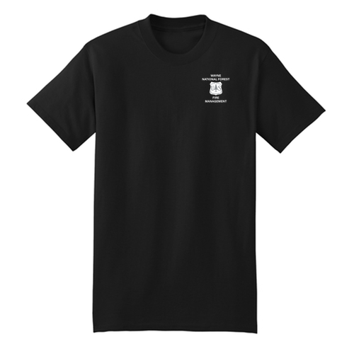 Hanes Beefy-T Basic T-Shirt -- Black