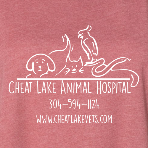 Bella+Canvas Unisex Heather Cvc Long Sleeve Tee- Heathers -- Heather Mauve