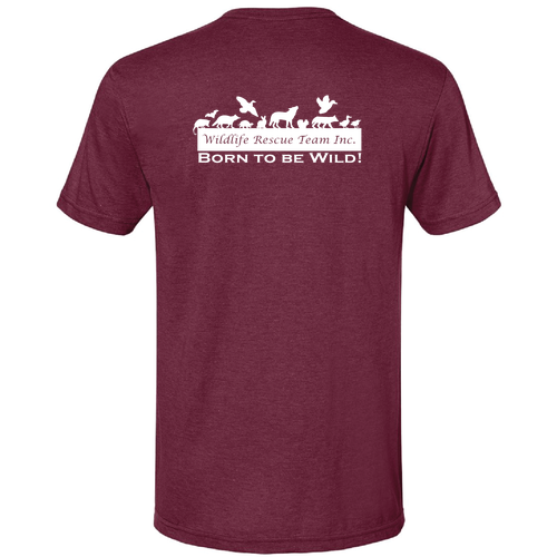 Gildan Softstyle CVC Tee -- Maroon Mist