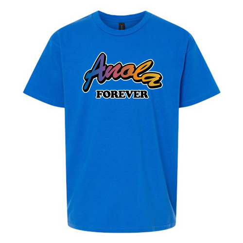 Youth Gildan SoftStyle T-Shirt -- Royal