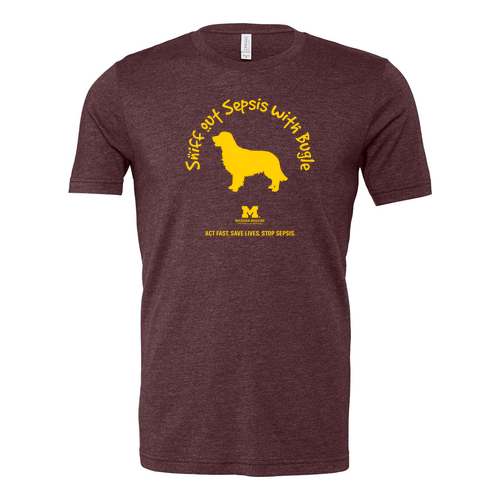 Mens/Unisex Bella Canvas Heather CVC T-Shirt -- Heather Maroon