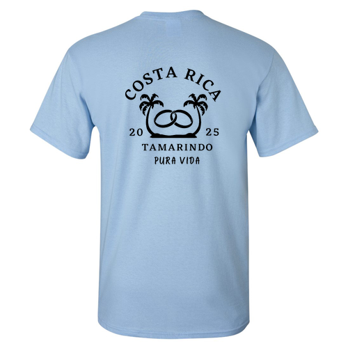 Gildan Heavy Cotton Basic T-Shirt -- Light Blue