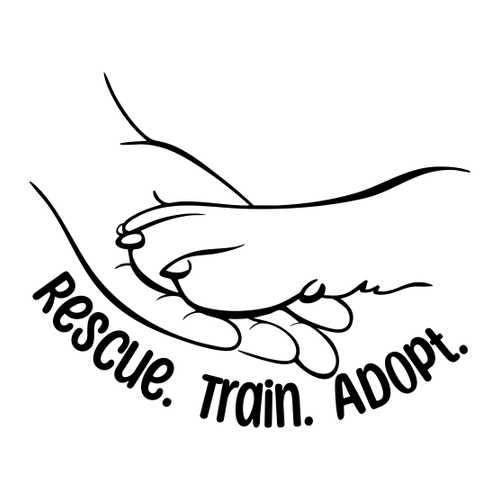 Hanes Perfect-T Ring Spun T-Shirt -- Iced Mocha