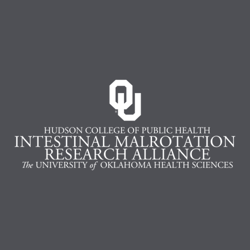 Gildan Heavy Blend Hooded Sweatshirt -- Charcoal