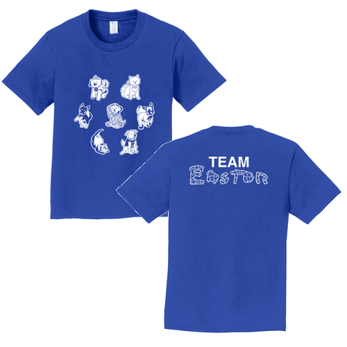 Port and Company Youth Fan Favorite Tee -- True Royal