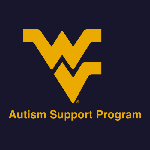 Gildan Heavy Cotton Longsleeve Basic T-Shirt -- Navy