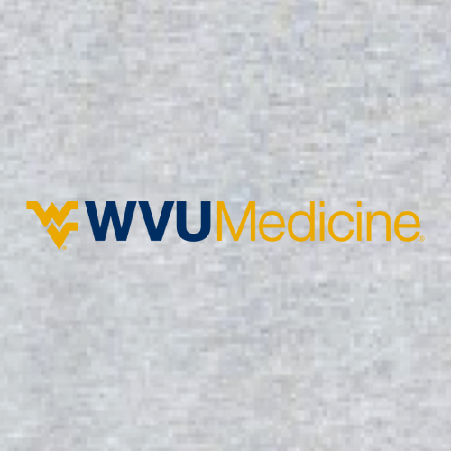 Gildan Softstyle Longsleeve T Shirt -- Sport Grey