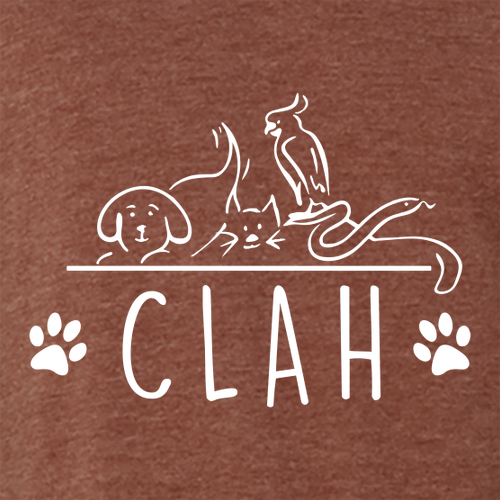 Bella+Canvas Unisex Heather Cvc Long Sleeve Tee- Heathers -- Heather Clay