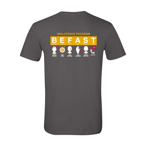 Gildan SoftStyle T-Shirt -- Charcoal