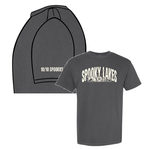 Comfort Colors Unisex Garment-Dyed Heavyweight T-Shirt -- Pepper