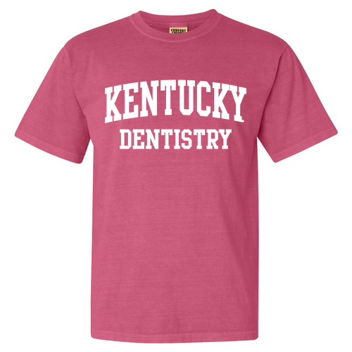 Comfort Colors Ringspun Garment Dyed T Shirt -- Crunchberry