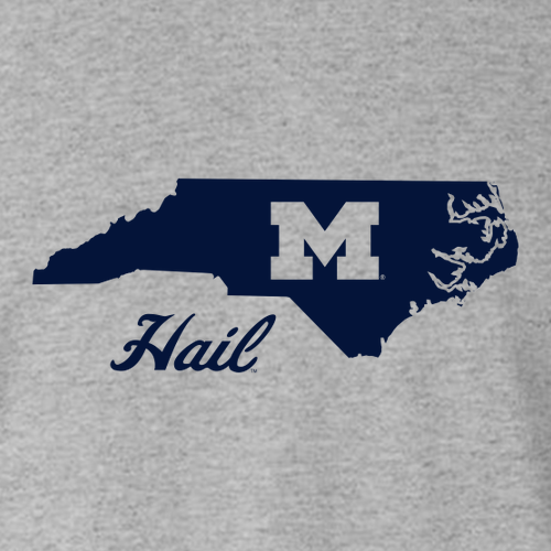 Gildan Heavy Cotton Basic T-Shirt -- Sport Grey