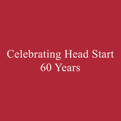 Gildan Ultra Cotton Basic T-Shirt -- Red