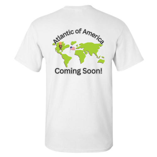 Gildan Heavy Cotton Basic T-Shirt -- White