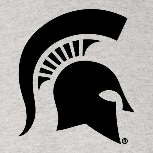 Gildan Heavy Cotton Longsleeve Basic T-Shirt -- Ash